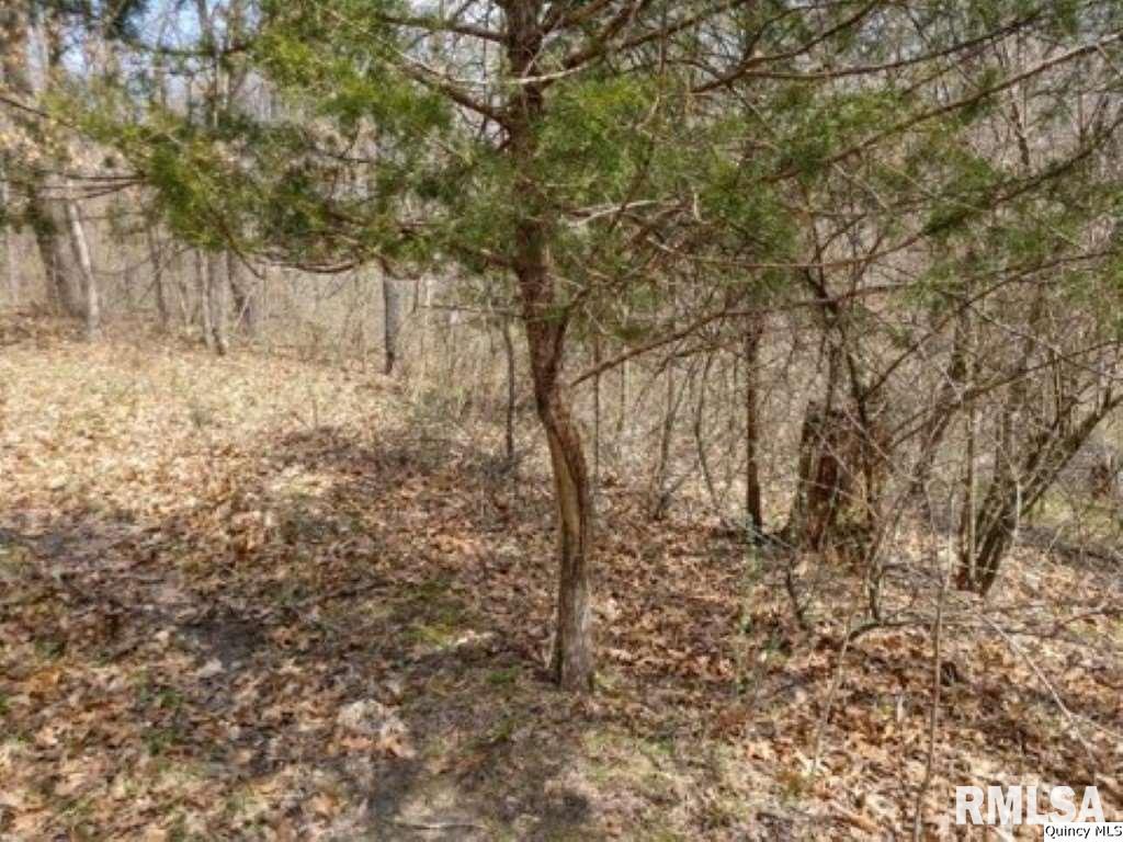 Ne Sect 36 50.43 Acres Camp Point, IL 62320 - Photo 8 of 11 Gallery Image 8