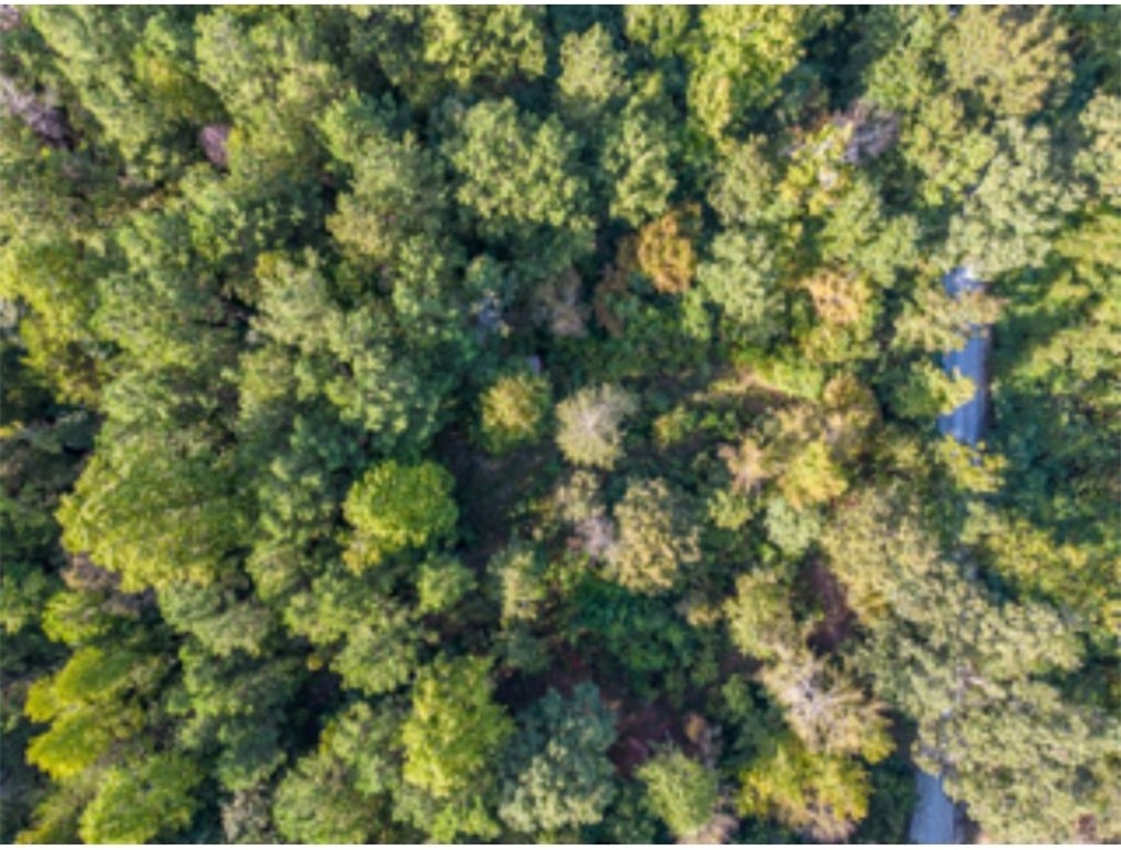 0 Pine Knoll Road Abbeville, SC 29620 - Photo 2 of 8