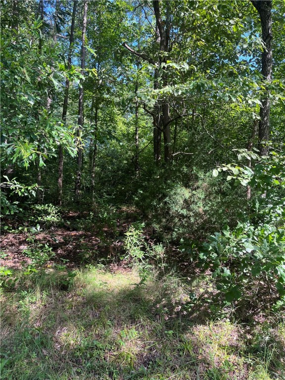 0 Pine Knoll Road Abbeville, SC 29620 - Photo 3 of 8