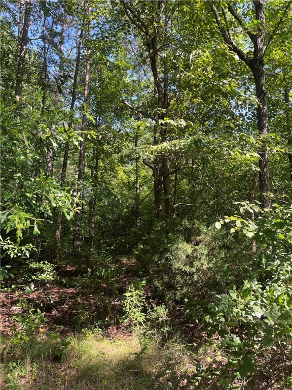 0 Pine Knoll Road Abbeville, SC 29620 - Photo 4 of 8