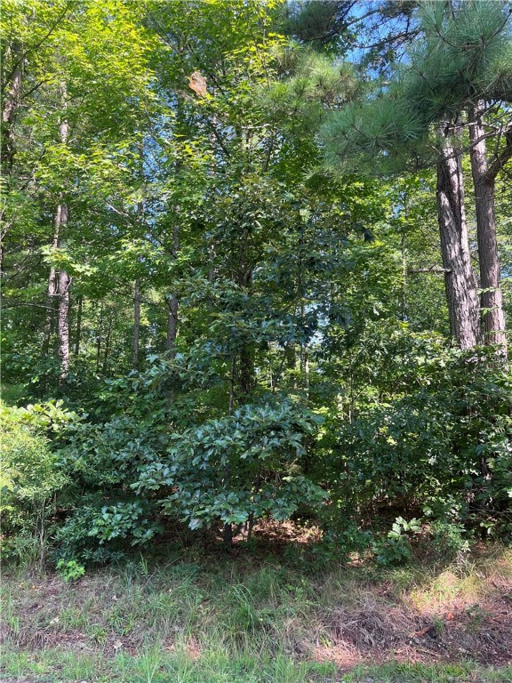 0 Pine Knoll Road Abbeville, SC 29620 - Photo 5 of 8