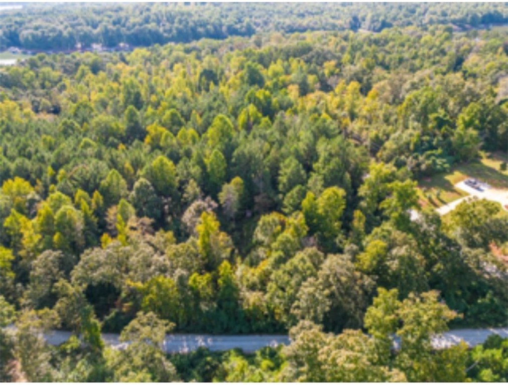 0 Pine Knoll Road Abbeville, SC 29620 - Photo 8 of 8