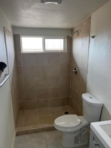 a bathroom with a shower a toilet and a sink