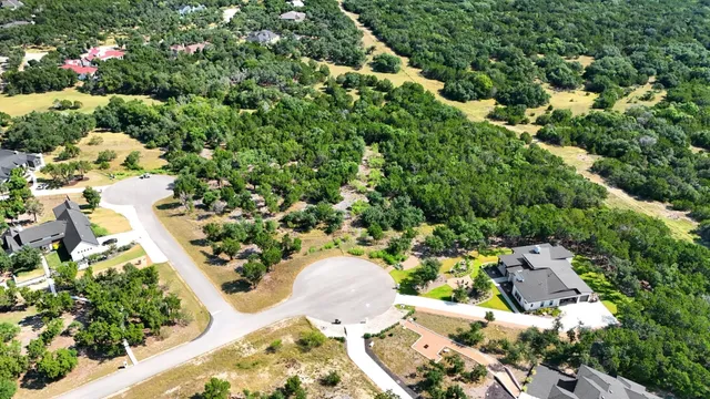 a view of a garden with a tree