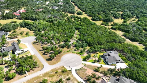 a view of a garden with a tree