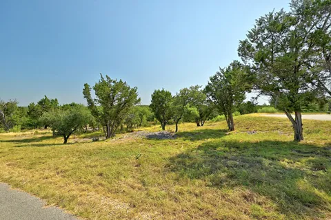 a view of yard with trees
