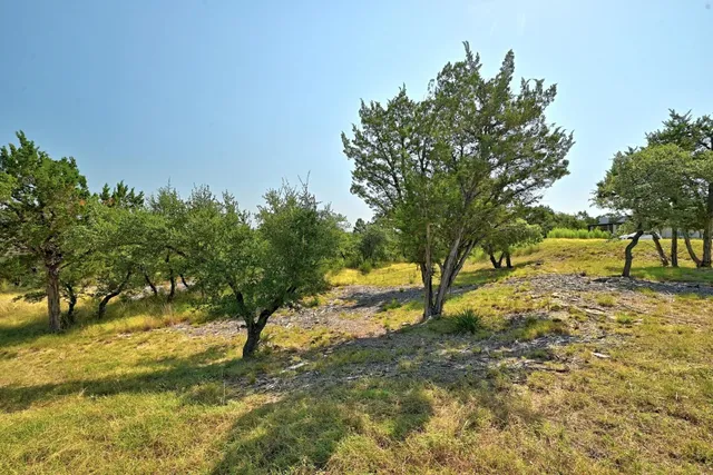a view of yard with trees