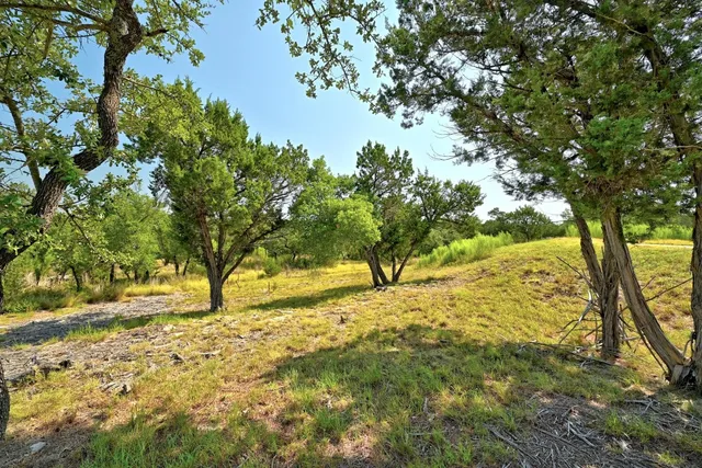 a view of a lake with a yard