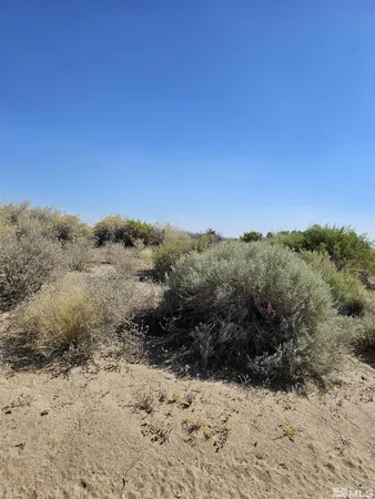 a view of a dry yard with mountains in the background