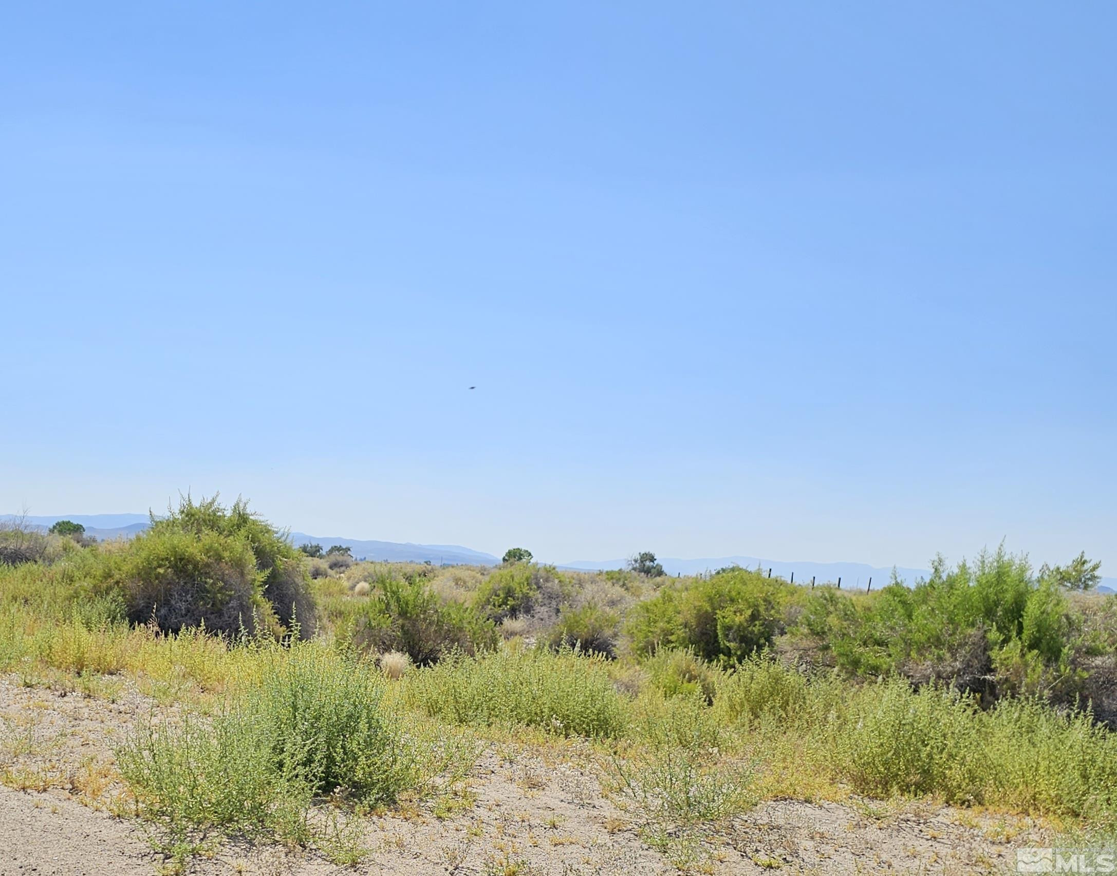 8245 Kamibo Drive Fallon, NV 89406 - Photo 3 of 4 Photo 3