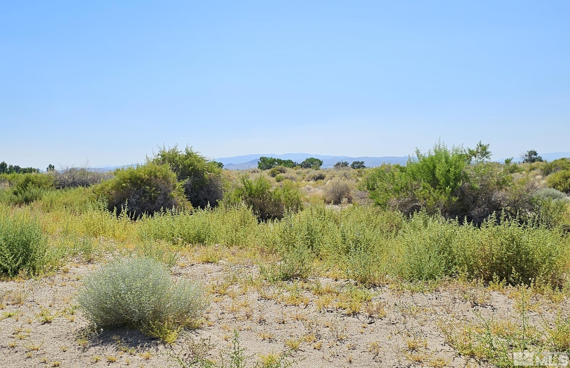 8245 Kamibo Drive Fallon, NV 89406 - Photo 4 of 4 Photo 4