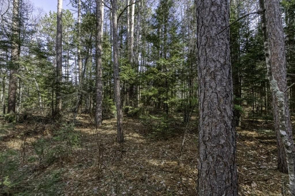 Off Natural Springs Road Presque Isle, WI 54557 - Photo 13 of 27 Gallery Image 13