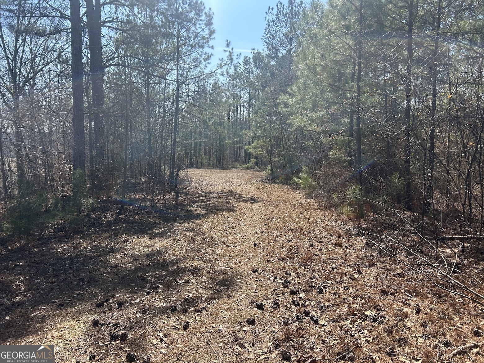 236 Riversong (tract 8) Carrollton, GA 30117 - Photo 13 of 72