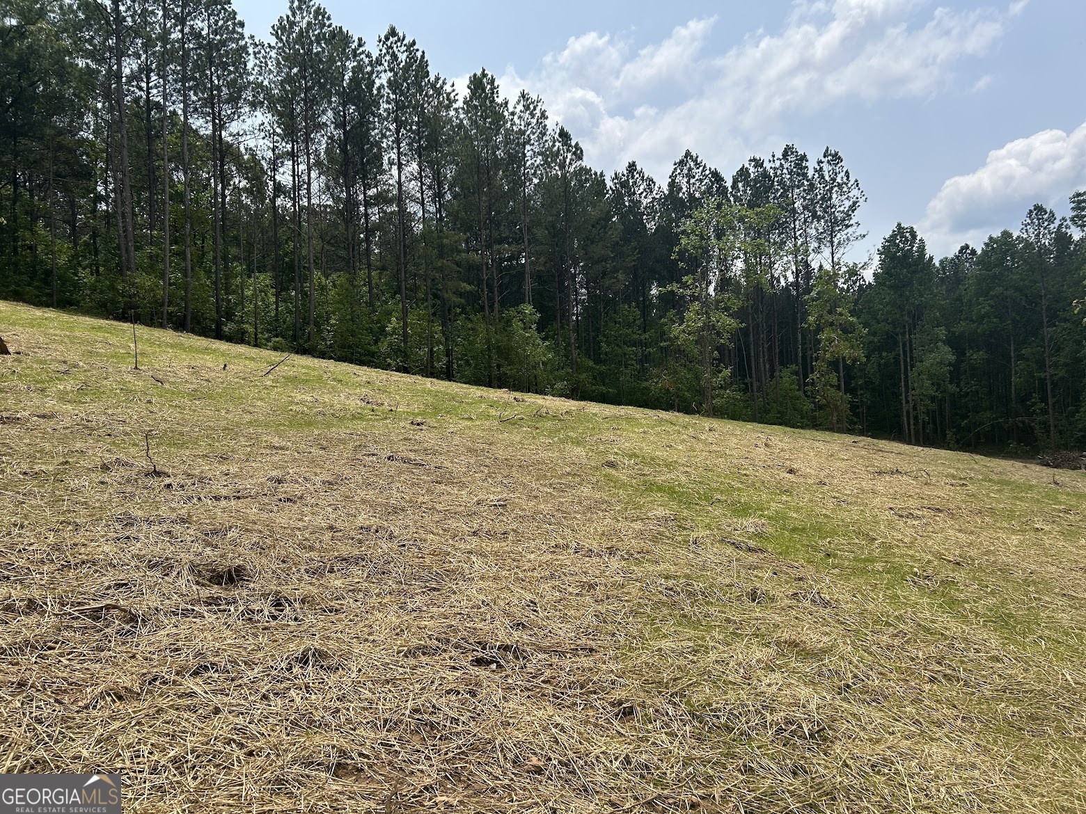 236 Riversong (tract 8) Carrollton, GA 30117 - Photo 18 of 72
