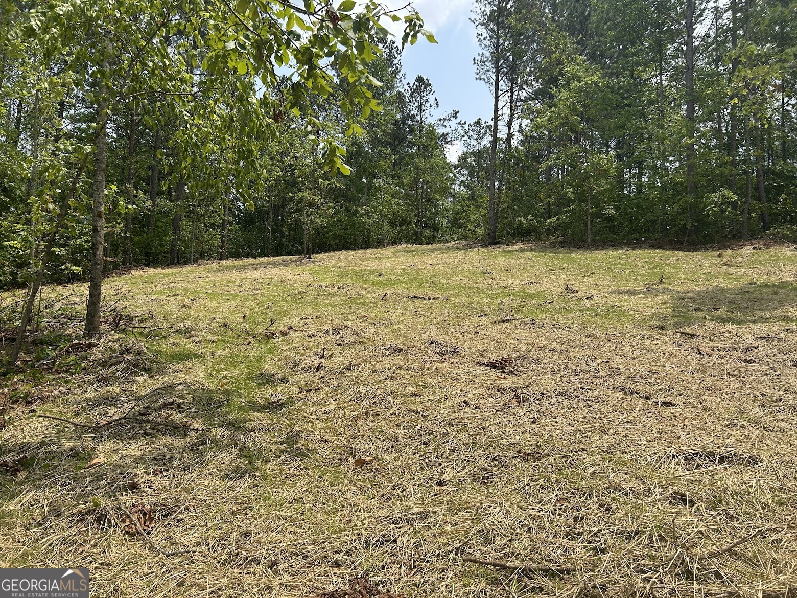 236 Riversong (tract 8) Carrollton, GA 30117 - Photo 21 of 72