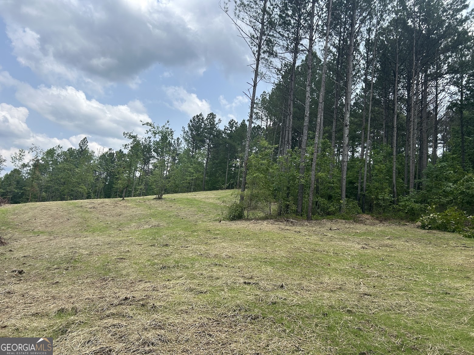 236 Riversong (tract 8) Carrollton, GA 30117 - Photo 23 of 72