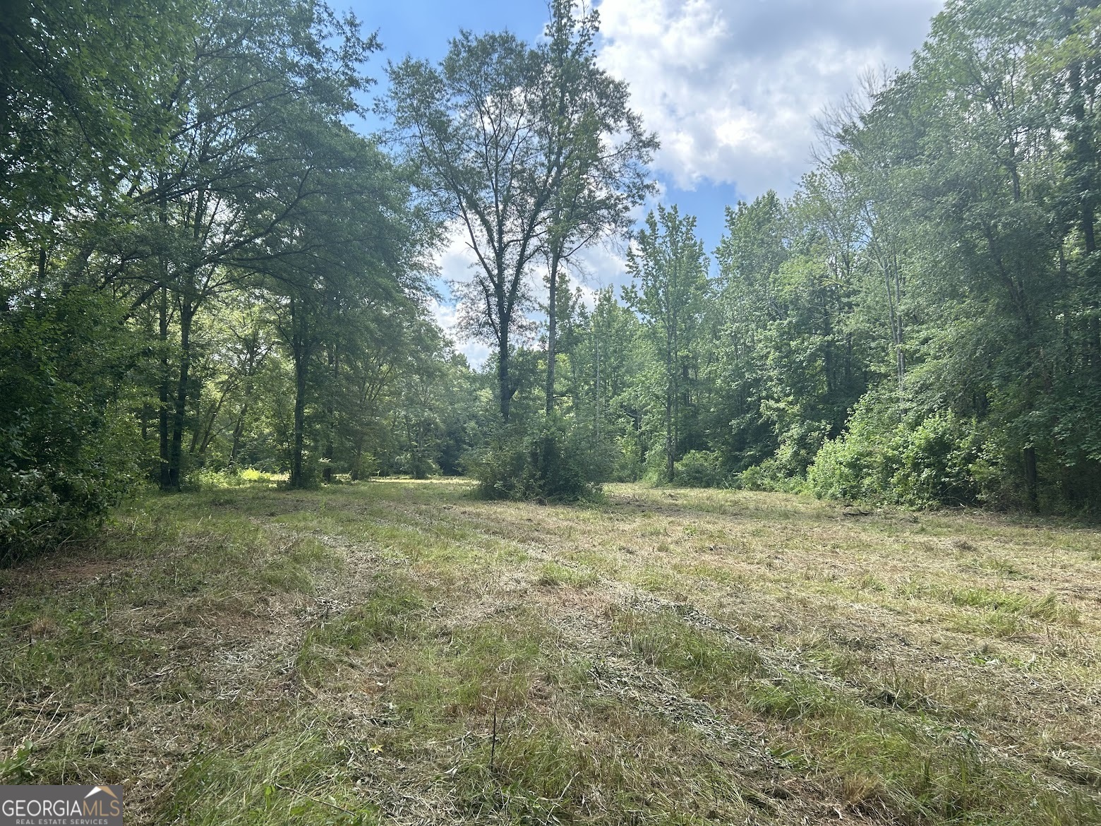 236 Riversong (tract 8) Carrollton, GA 30117 - Photo 25 of 72