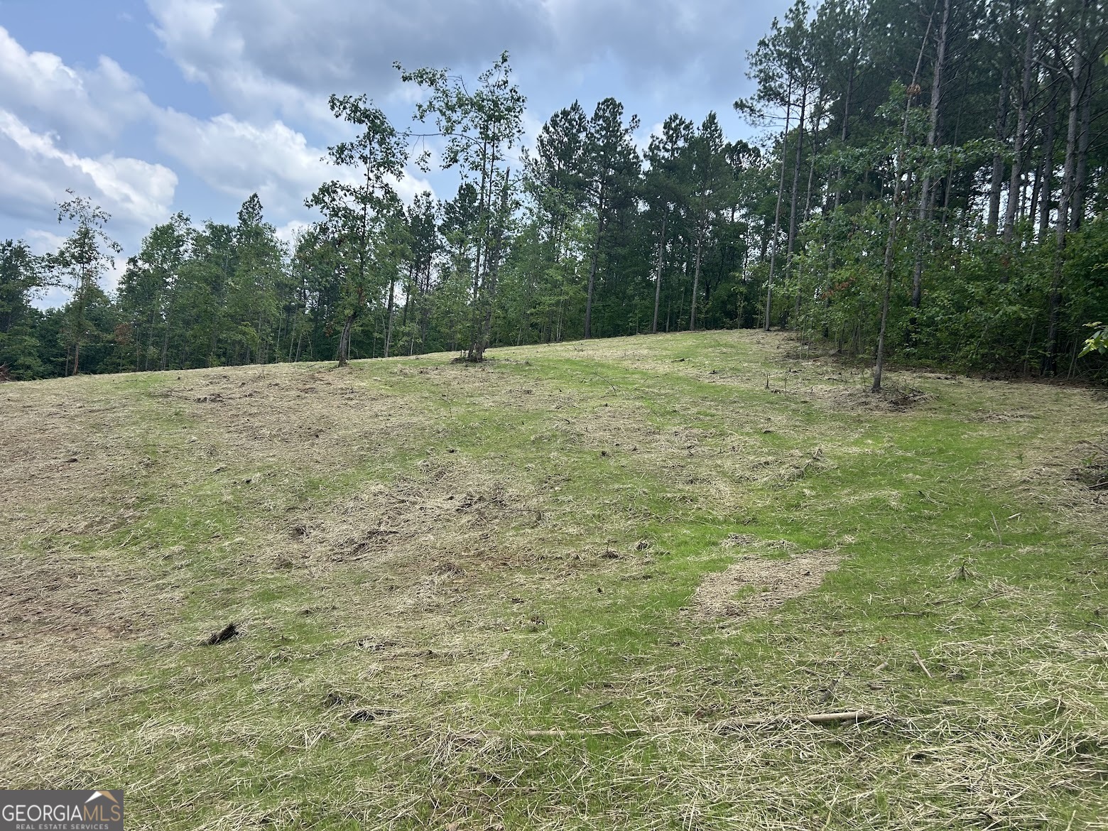 236 Riversong (tract 8) Carrollton, GA 30117 - Photo 30 of 72