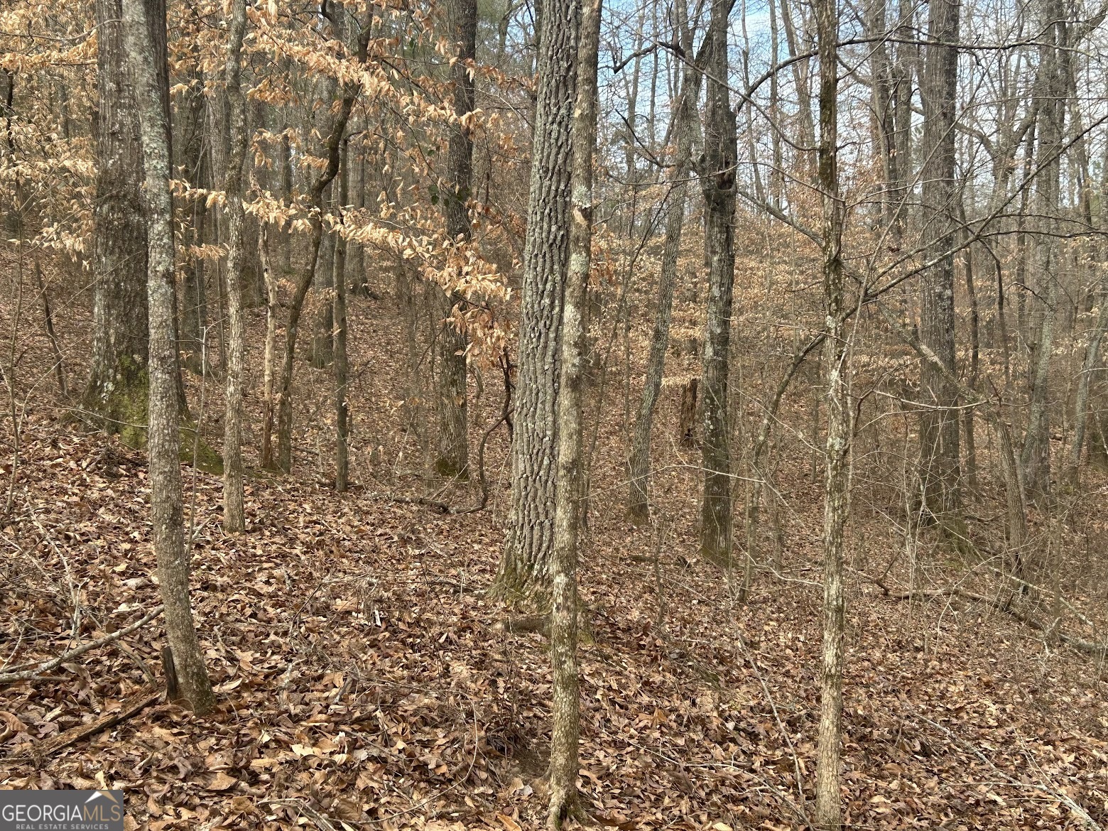 236 Riversong (tract 8) Carrollton, GA 30117 - Photo 35 of 72