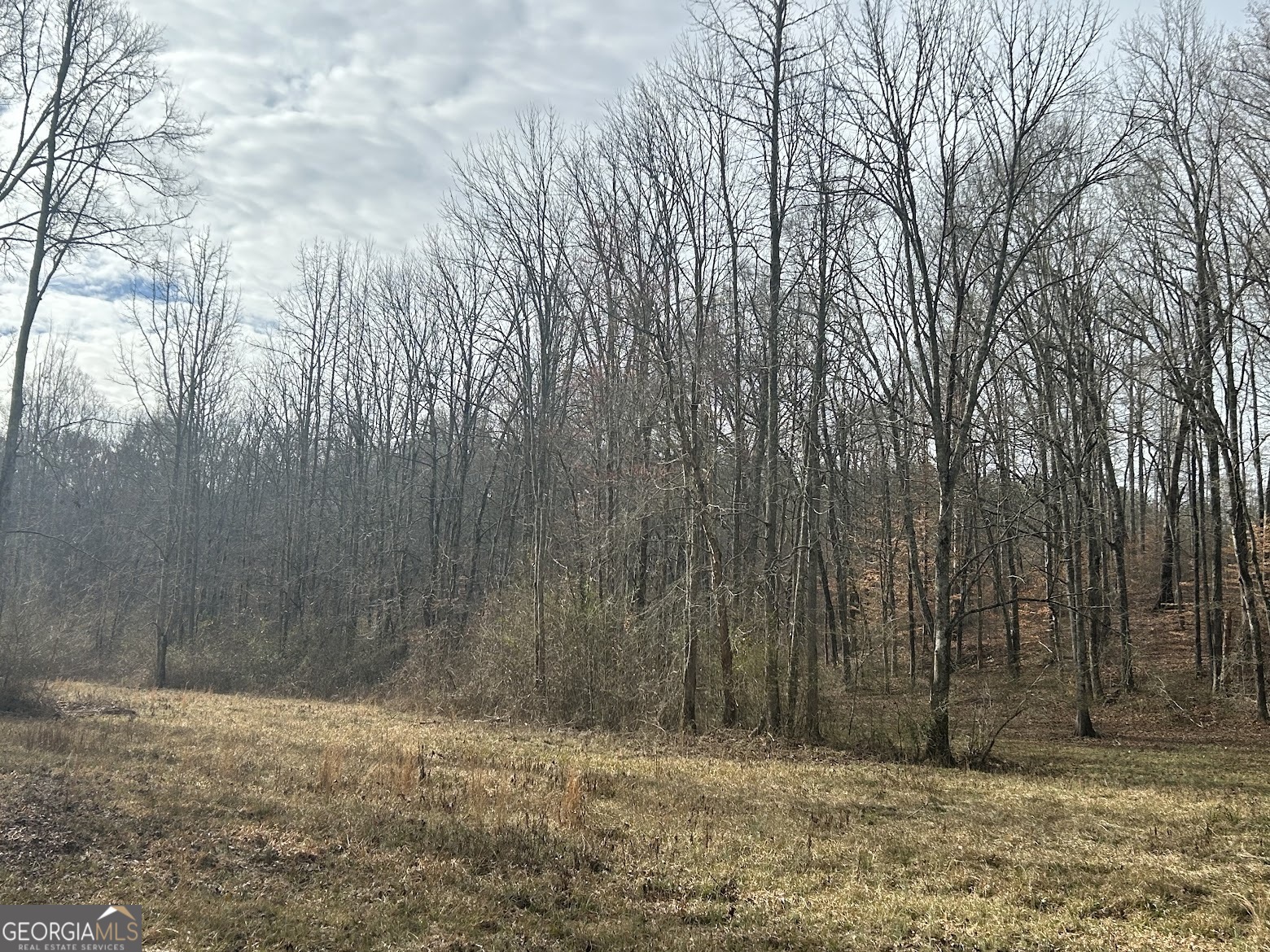 236 Riversong (tract 8) Carrollton, GA 30117 - Photo 56 of 72