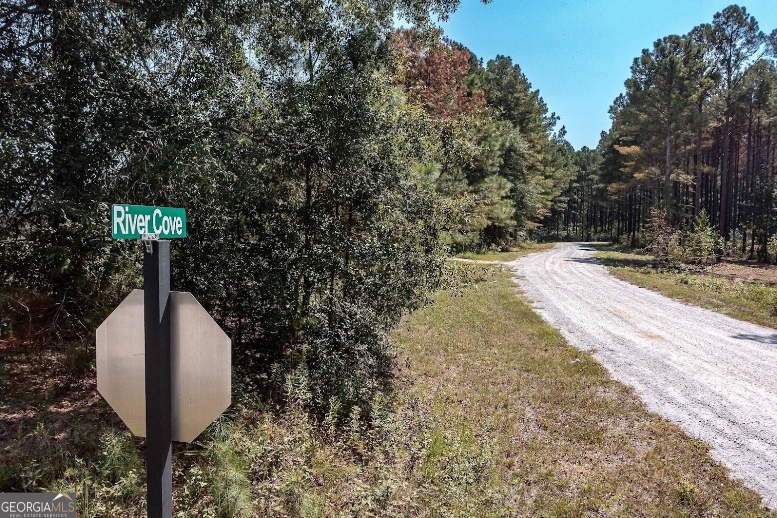 236 Riversong (tract 8) Carrollton, GA 30117 - Photo 9 of 72