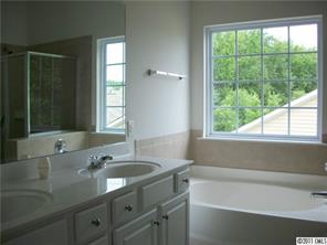 356 Sand Paver Way Fort Mill, SC 29708 - Photo 11 of 12 a bathroom with a sink and a bathtub