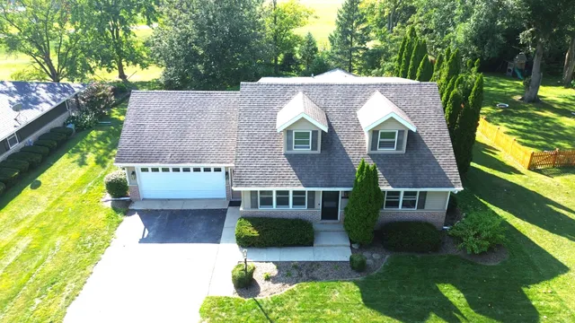 a view of a garden with plants