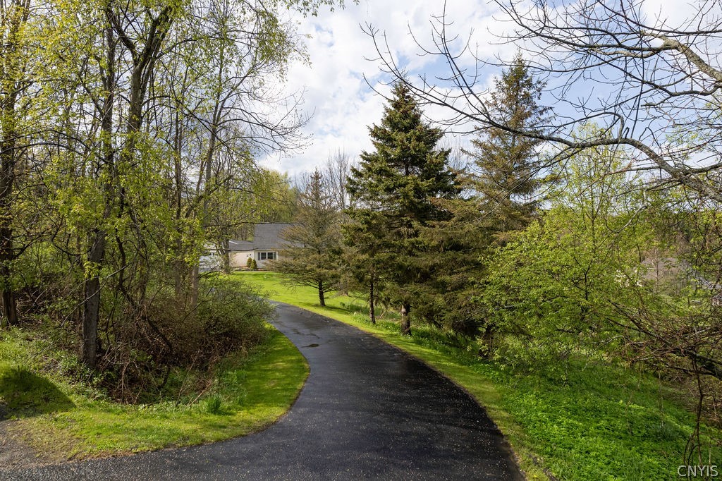 7175 Horton Road Hamilton, NY 13346 - Photo 42 of 49 Private driveway entrance