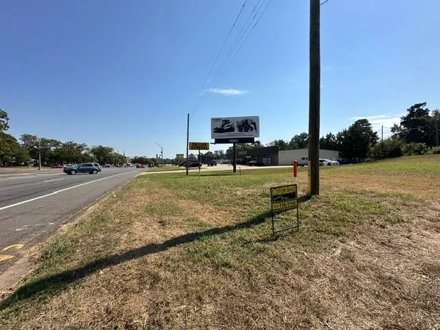 a view of a yard with palm tree