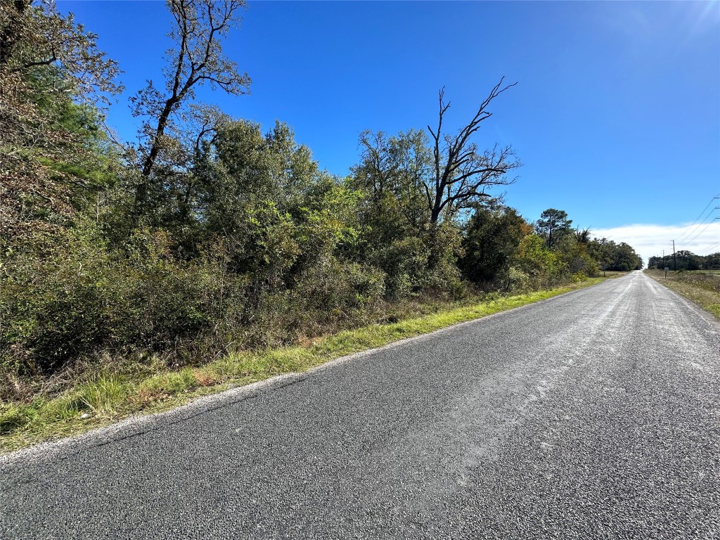 1529 Pinecrest Road Trinity, TX 75862 - Photo 2 of 6 a view of a road with a yard