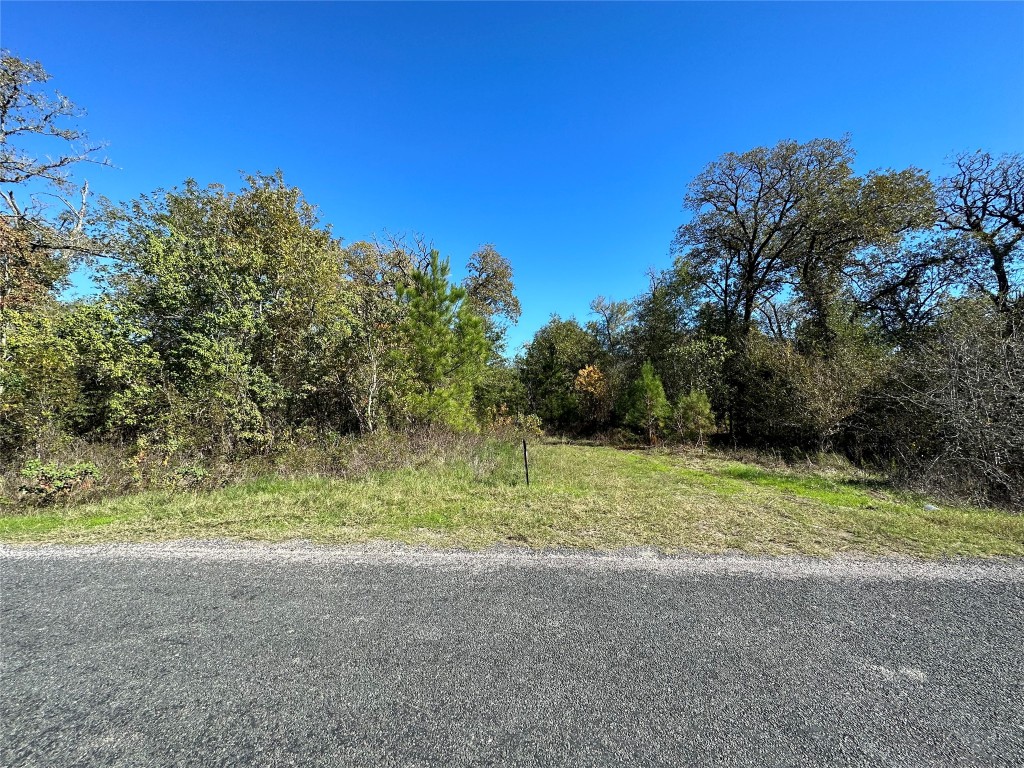 1529 Pinecrest Road Trinity, TX 75862 - Photo 3 of 6 a view of a yard with a tree
