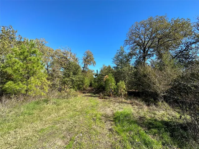 $200,000 | 1529 Pinecrest Road, Trinity, TX 75862