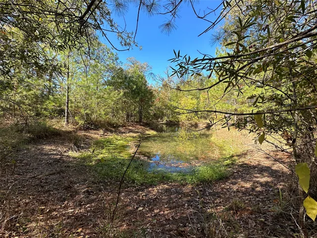 $200,000 | 1529 Pinecrest Road, Trinity, TX 75862