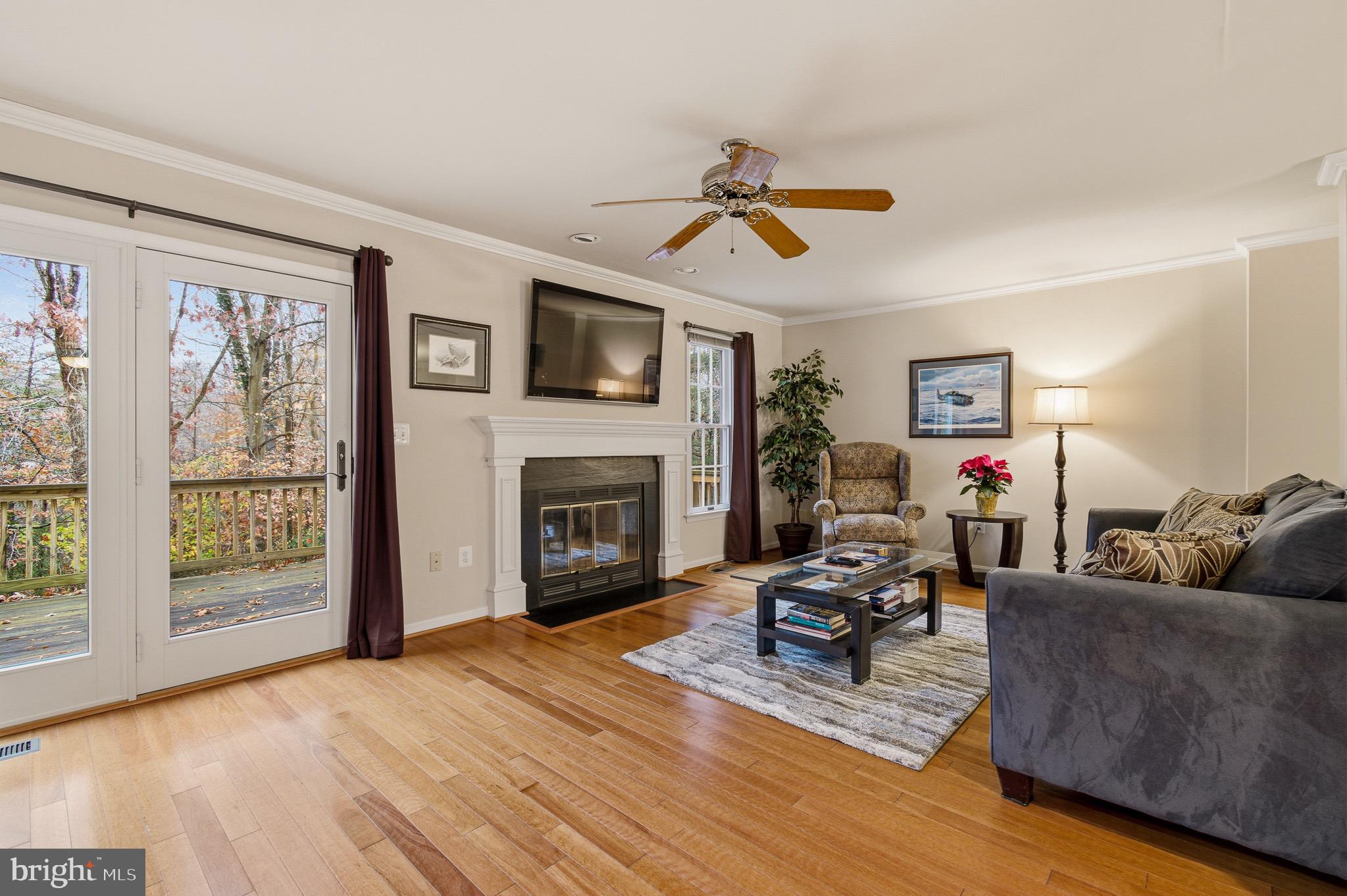 134 Spring Pl Way Annapolis, MD 21401 - Photo 12 of 59 a living room with furniture a fireplace and a flat screen tv