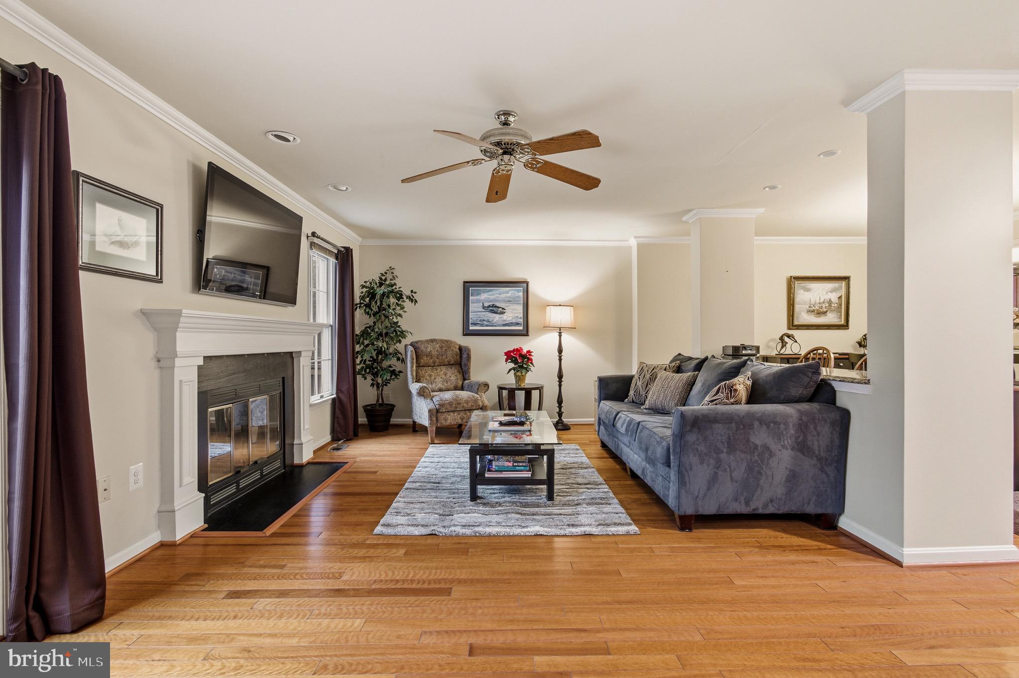 134 Spring Pl Way Annapolis, MD 21401 - Photo 13 of 59 a living room with furniture and a fireplace