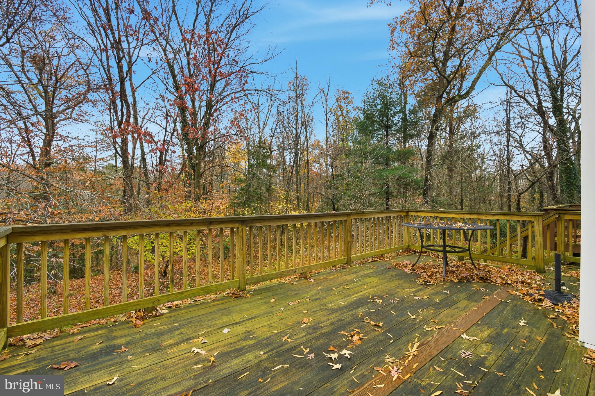 134 Spring Pl Way Annapolis, MD 21401 - Photo 40 of 59 a view of swimming pool with a patio