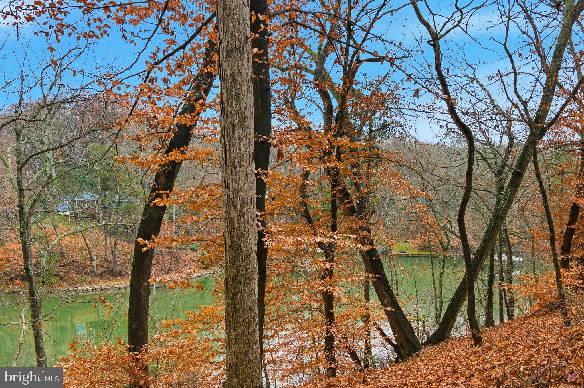 134 Spring Pl Way Annapolis, MD 21401 - Photo 47 of 59 a backyard of a house with lots of green space