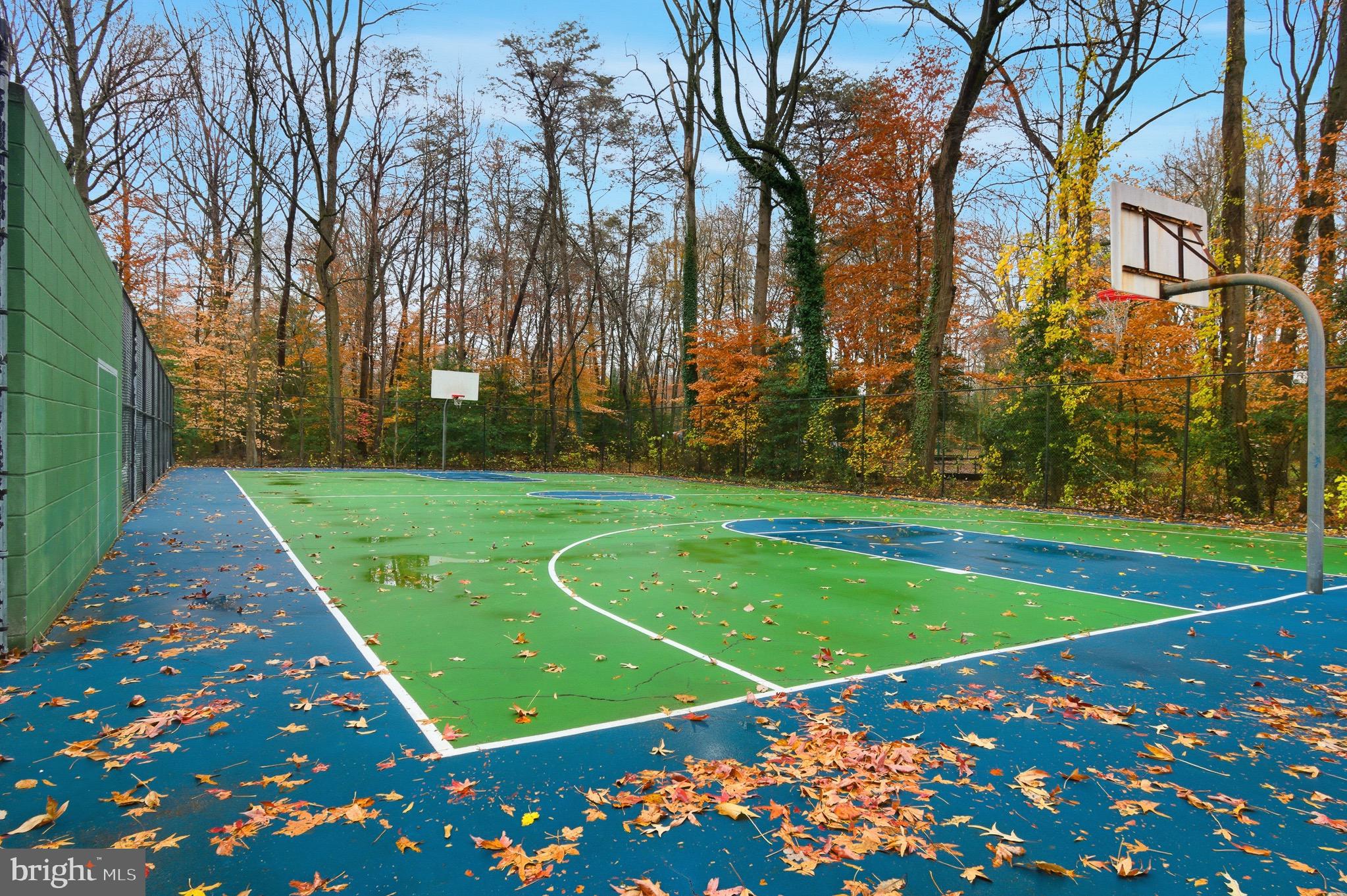 134 Spring Pl Way Annapolis, MD 21401 - Photo 55 of 59 a view of a tennis court