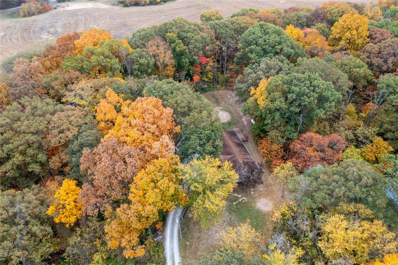 2910 Trout Camp Road Waterloo, IL 62298 - Photo 32 of 35
