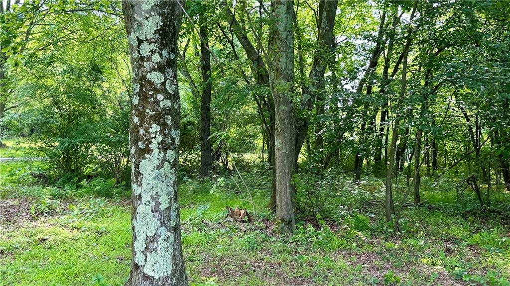70 Swisco Road Clarksburg, PA 15725 - Photo 19 of 31 Gallery Image 19