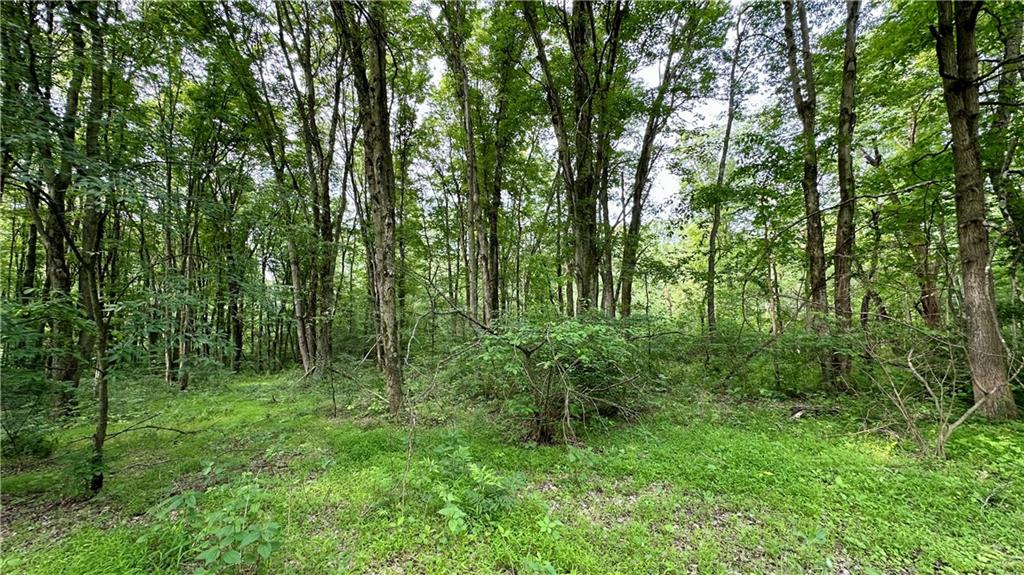 70 Swisco Road Clarksburg, PA 15725 - Photo 25 of 31 Gallery Image 25