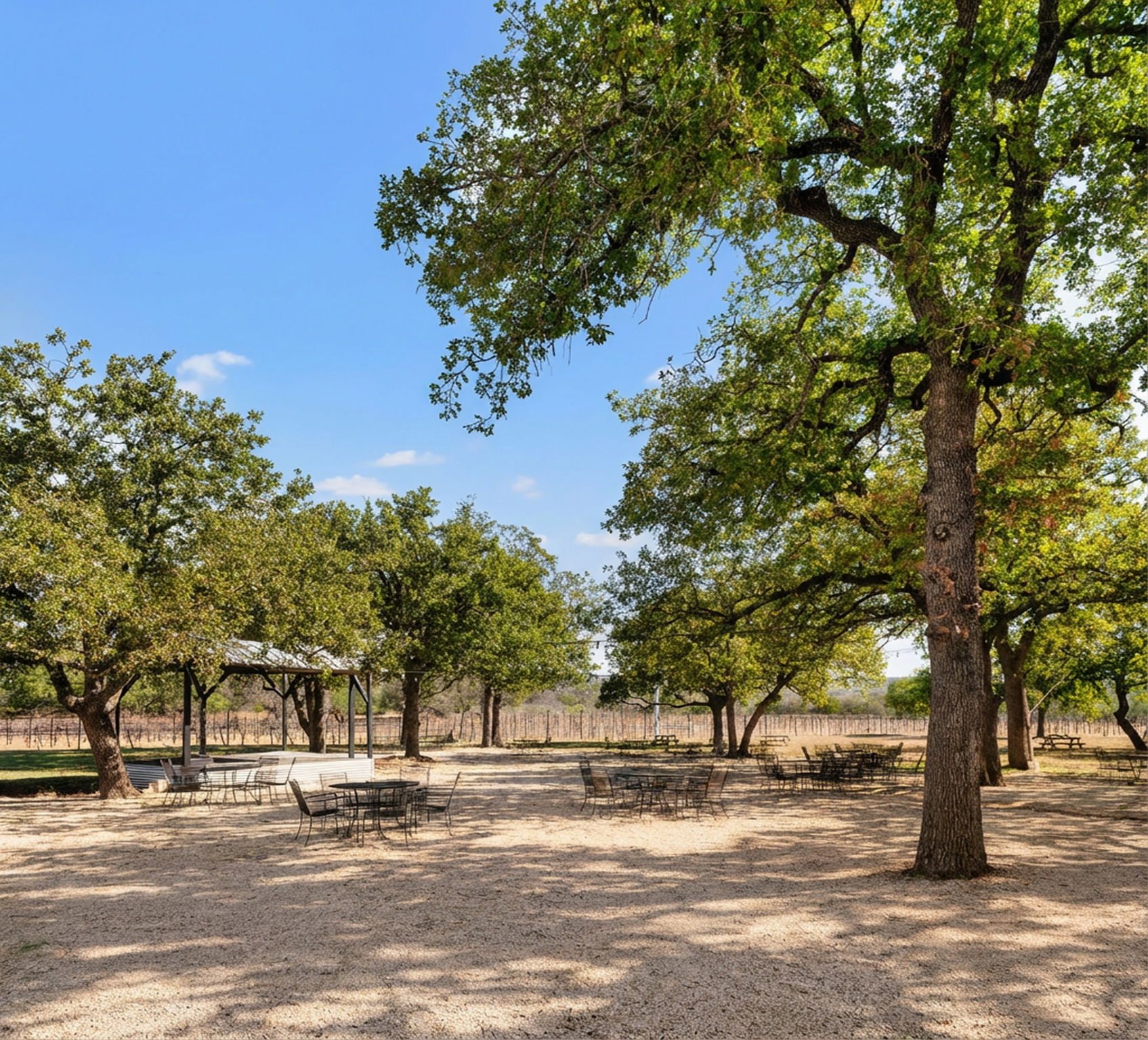 25711 Hamilton Pool Road Round Mountain, TX 78663 - Photo 13 of 39