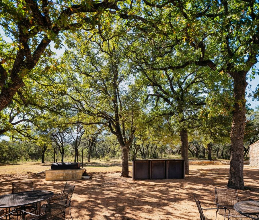 25711 Hamilton Pool Road Round Mountain, TX 78663 - Photo 14 of 40 a view of a outdoor space
