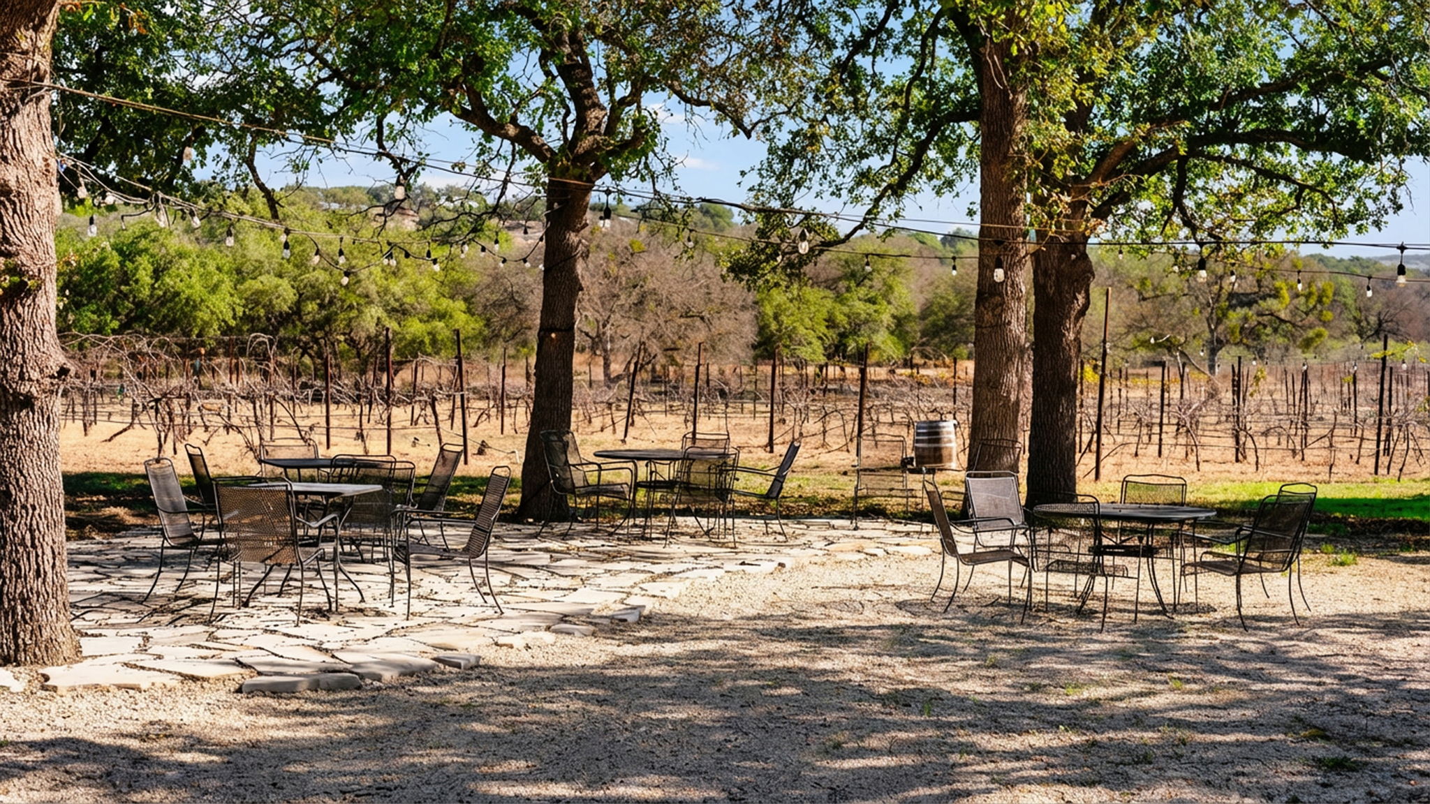 25711 Hamilton Pool Road Round Mountain, TX 78663 - Photo 17 of 39 a view of a lake with a bench and trees