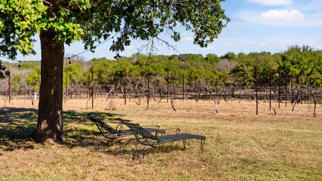 25711 Hamilton Pool Road Round Mountain, TX 78663 - Photo 18 of 40 a view of a yard with wooden fence