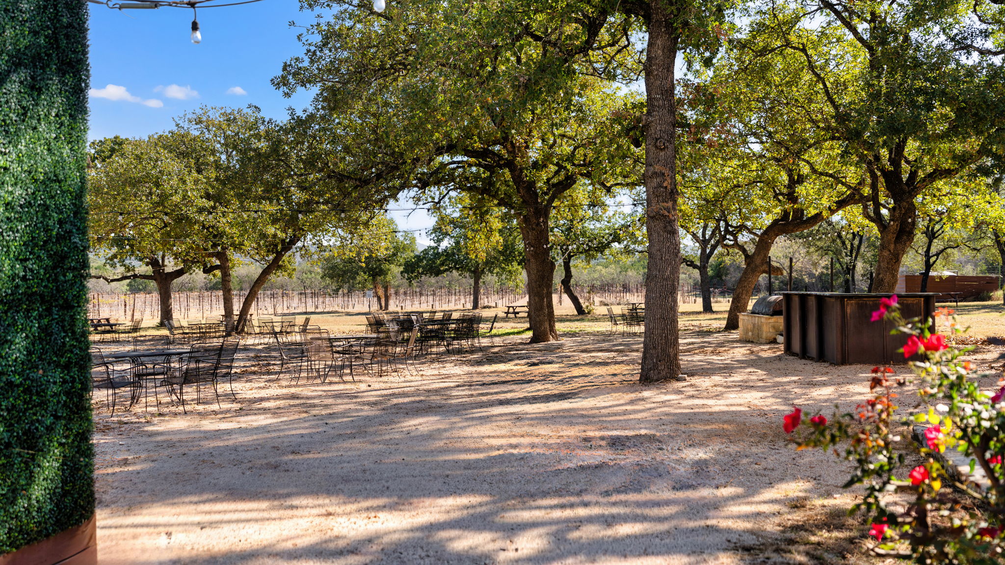 25711 Hamilton Pool Road Round Mountain, TX 78663 - Photo 19 of 39 a view of street with small trees