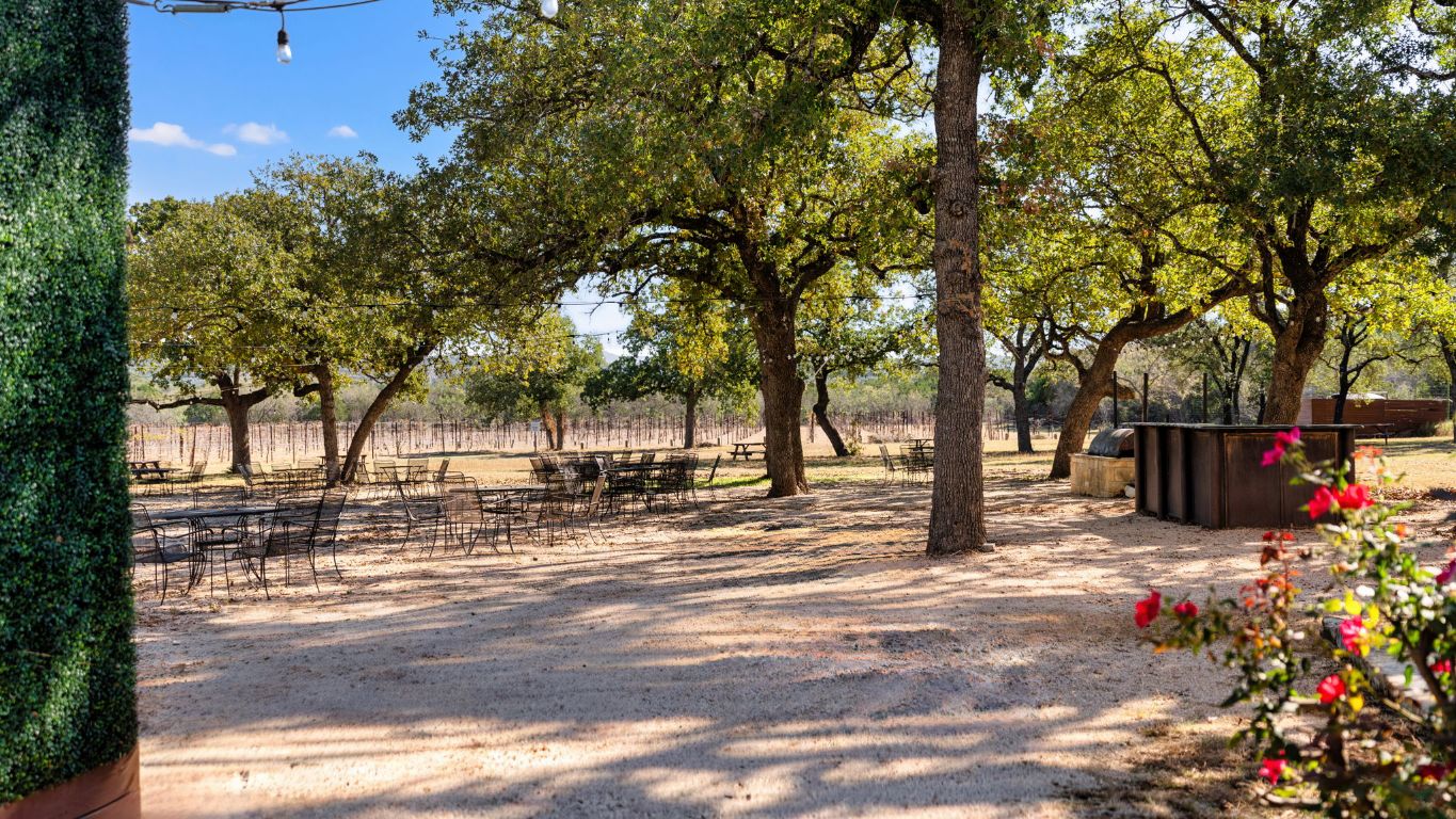 25711 Hamilton Pool Road Round Mountain, TX 78663 - Photo 19 of 40 a view of street with small trees