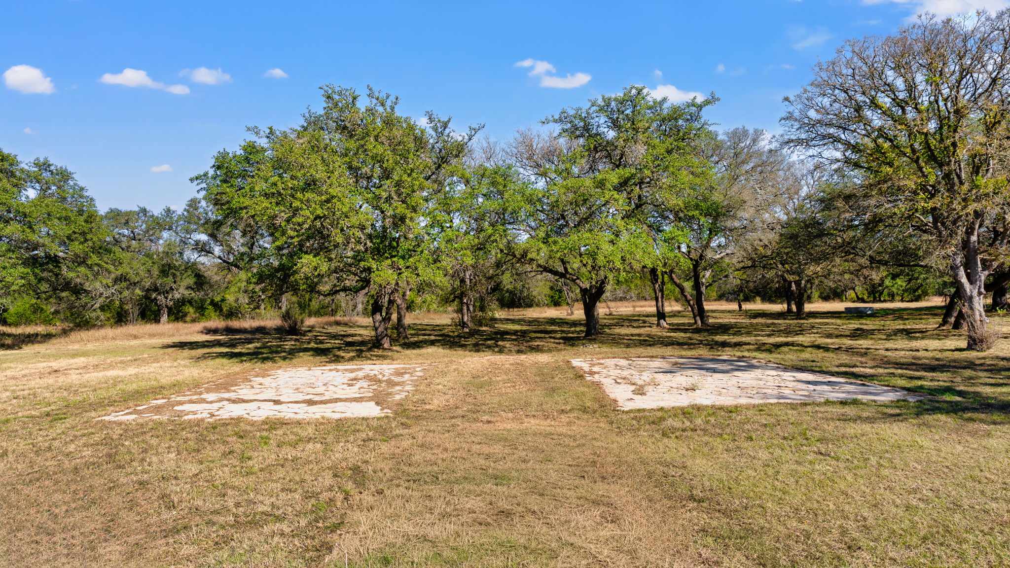 25711 Hamilton Pool Road Round Mountain, TX 78663 - Photo 20 of 39 a view of a yard with plants and trees