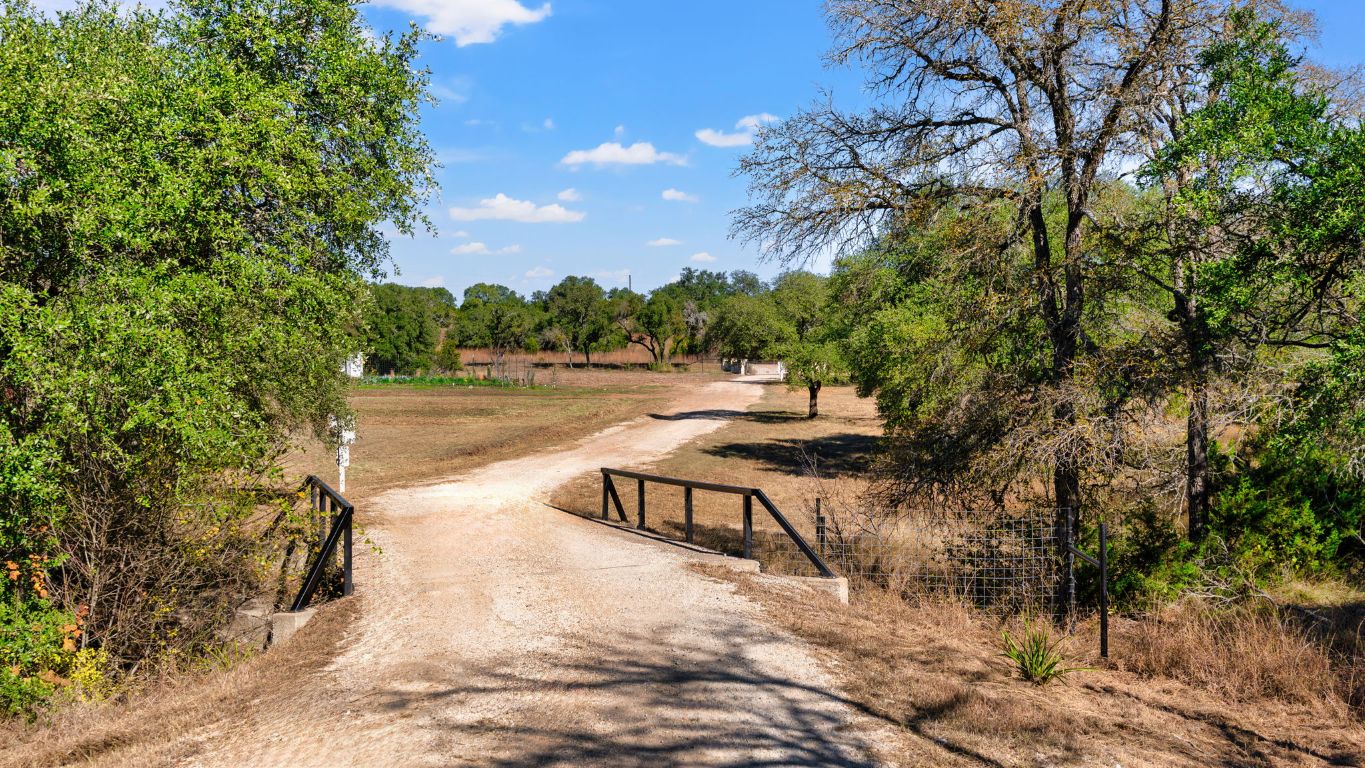 25711 Hamilton Pool Road Round Mountain, TX 78663 - Photo 22 of 40 a view of a yard with plants and trees