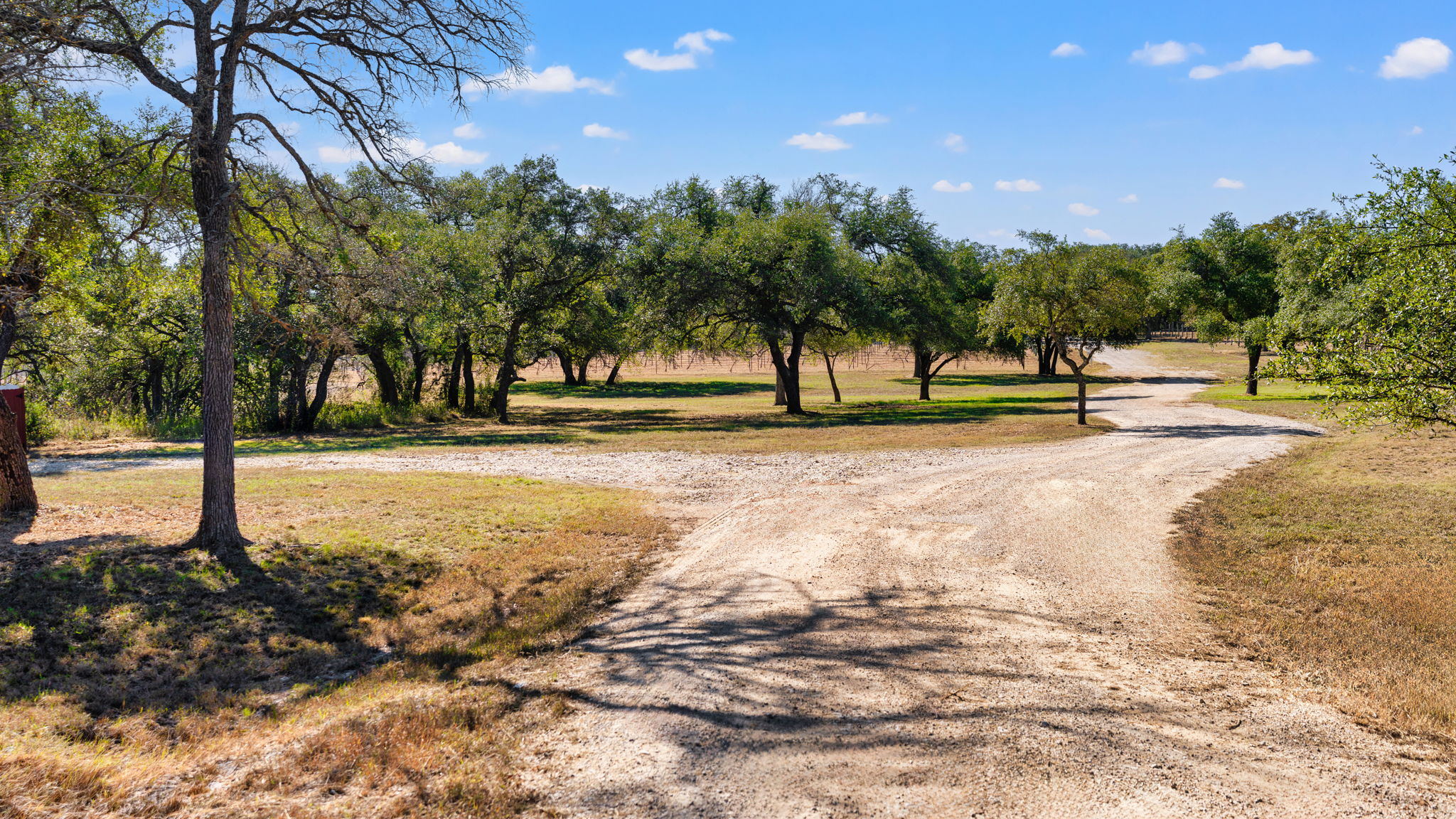 25711 Hamilton Pool Road Round Mountain, TX 78663 - Photo 23 of 39 a view of road with trees